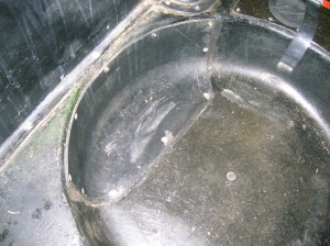 DSCN4220