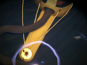 DSCN4230