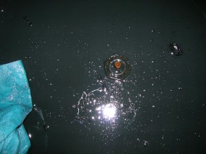 DSCN4232
