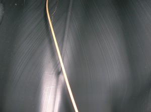 DSCN4242